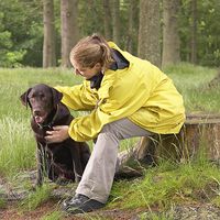 Zeckenschutz für Hunde und Katzen