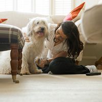 Regelmäßige Pflege von Augen, Ohren & Co. beim Hund