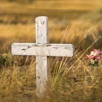 Tod des Haustiers: Tierfriedhof, Einäscherung oder Begräbnis im Garten?