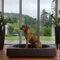 Pet-Interiors – Designermöbel für Hunde und Katzen