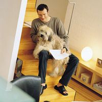 YaaCool-Checkliste: Ist Ihr Hund fit fürs Büro?