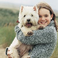 Wichtige Regeln für Kinder im Umgang mit Hunden